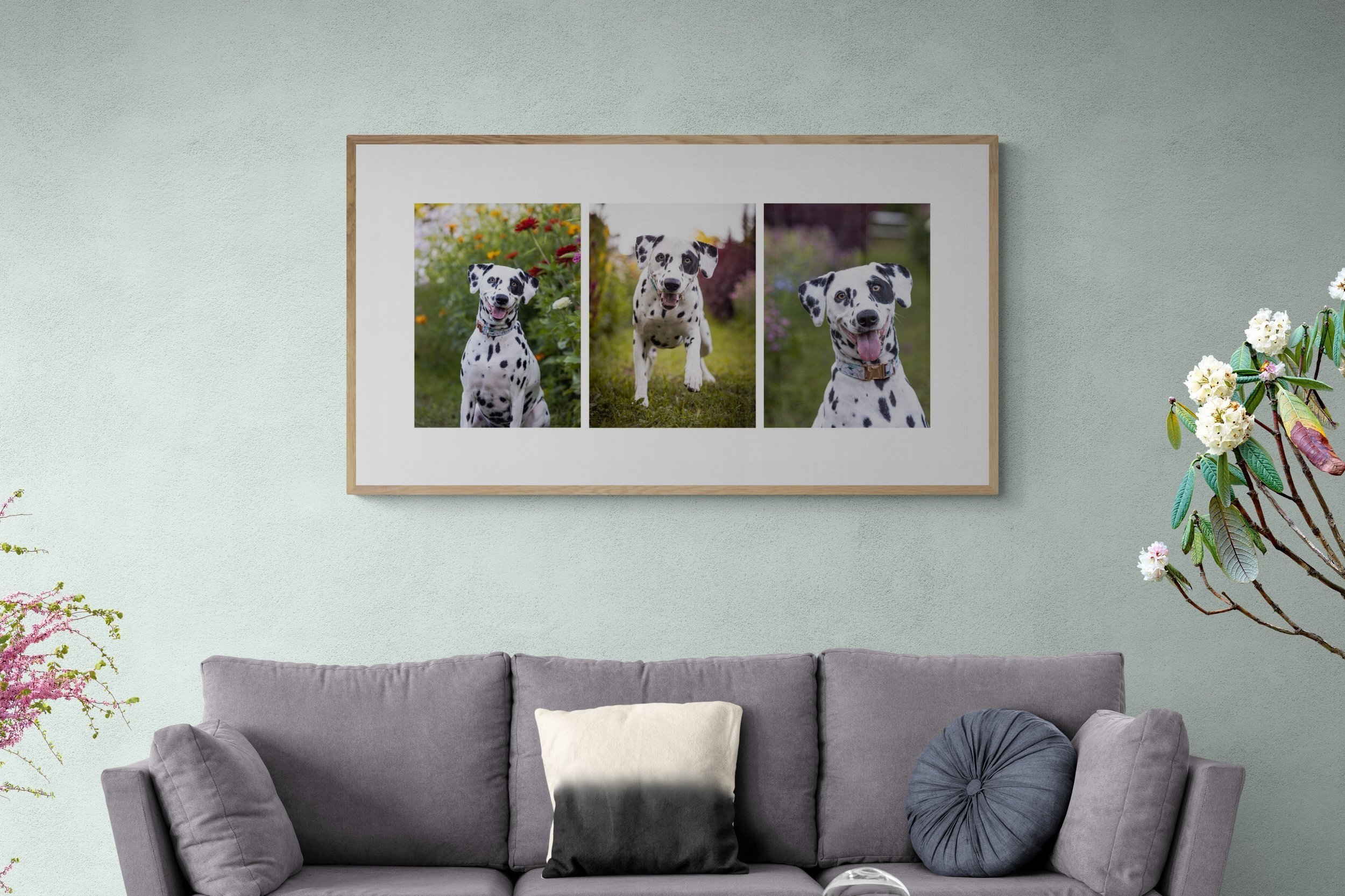 Living_room_sofa_surrounded_by_plants