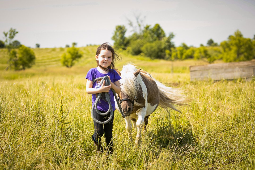 equine photography norfolk county little girl with her horse norfolk county
