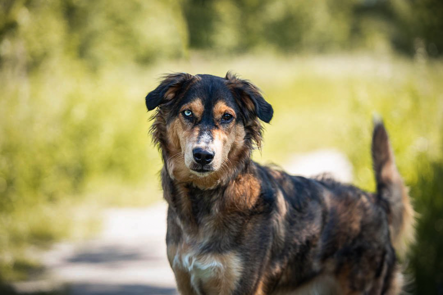 BU0A1667-Edit-2-Edit