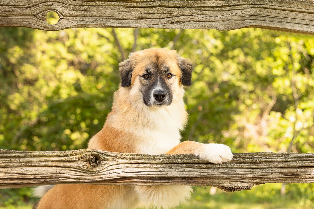 BU0A2190-Edit-2-Edit