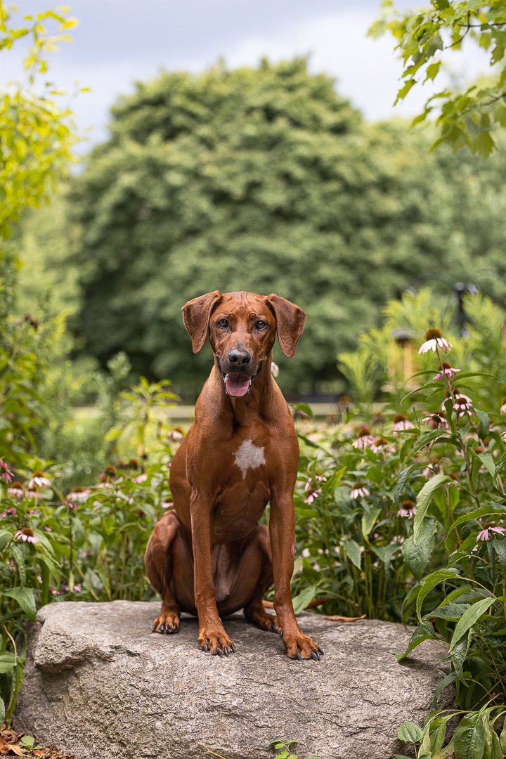 End Of Life session in Guelph, ON