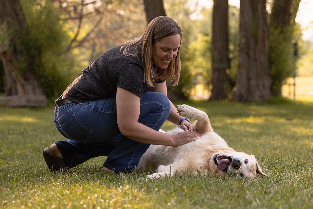 dog playing Lowville Park human playing with a dog in Lowville Park, Burlington Ontario
