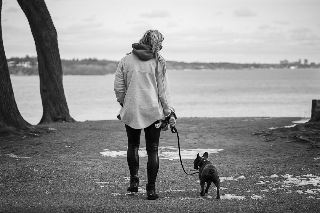 dog walking Dundurn Castle dog mom and french bulldog walking together Dundurn Castle