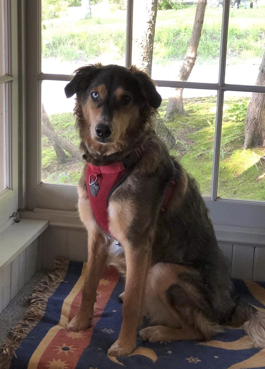 Screenshot 2023-08-21 at 3.20.25 PM