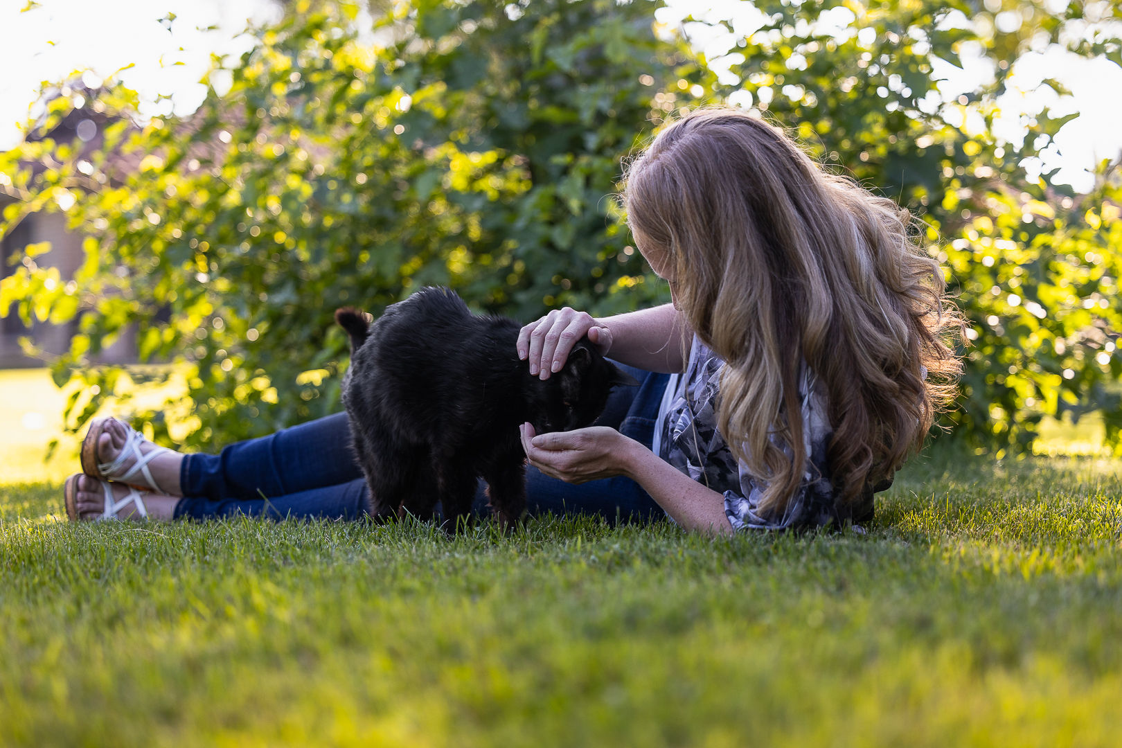 black cat in Norfolk County Black cat with his human in Norfolk County