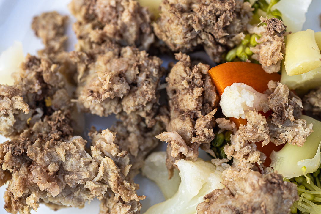 dog treat for black standard Schnauzer dog treat for dog photography