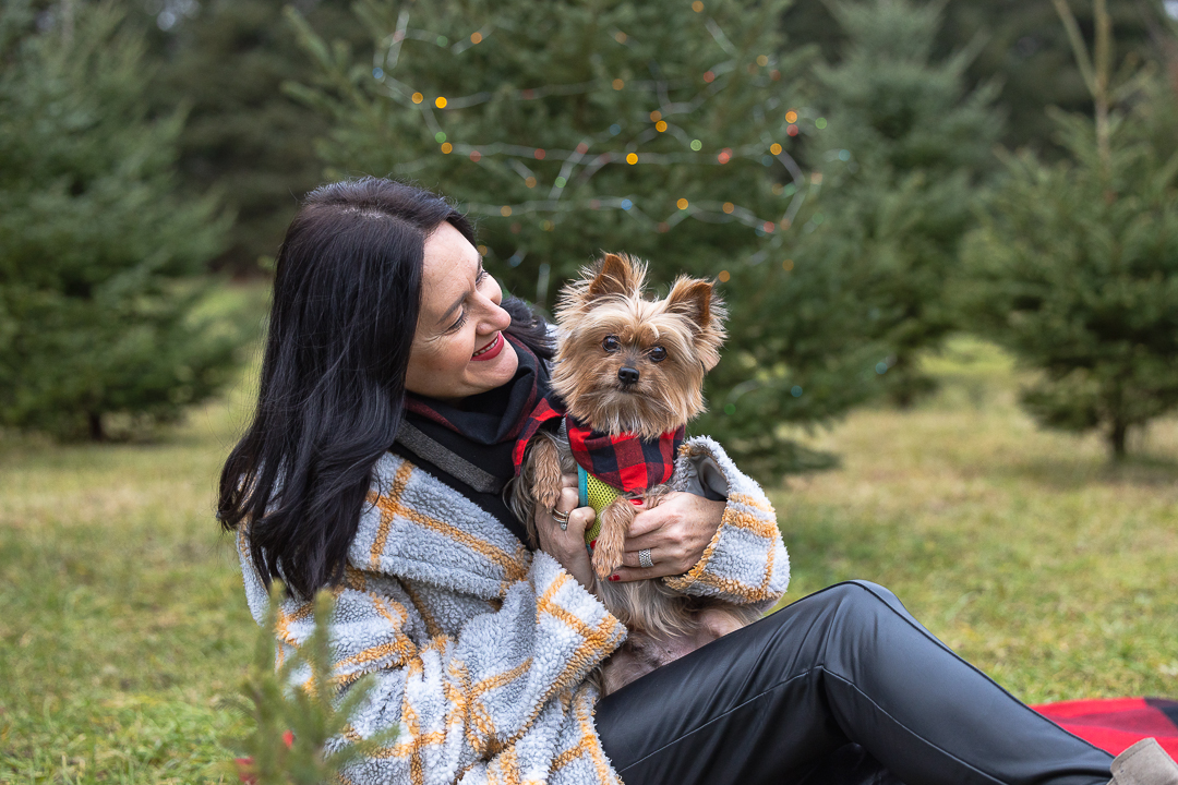 Christmas Tree Farm mini session Christmas Tree Farm pet and family mini sessions