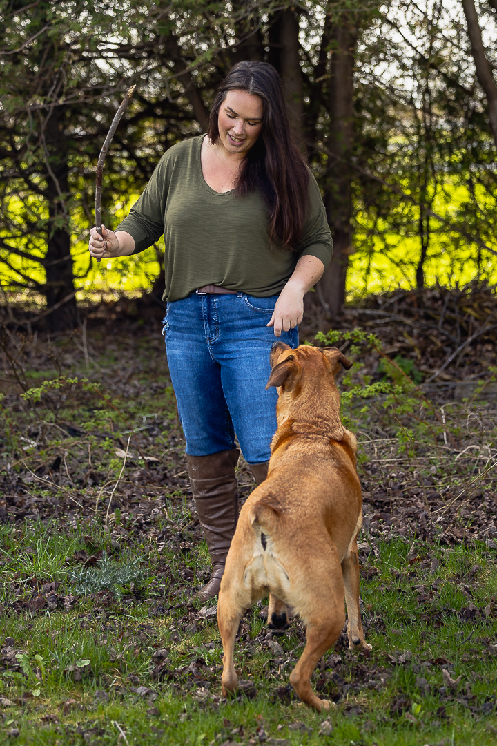 the bark dog treat the bark dog treat