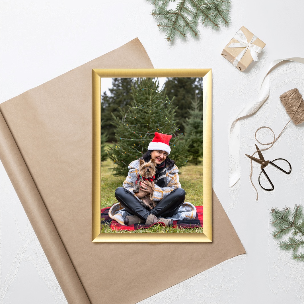 Christmas mini session Christmas mini session artwork