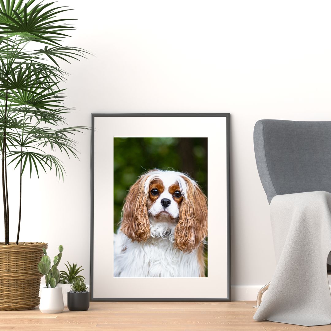 Grey Minimalist Wall Art Photo Frame Mockup for Instagram Post