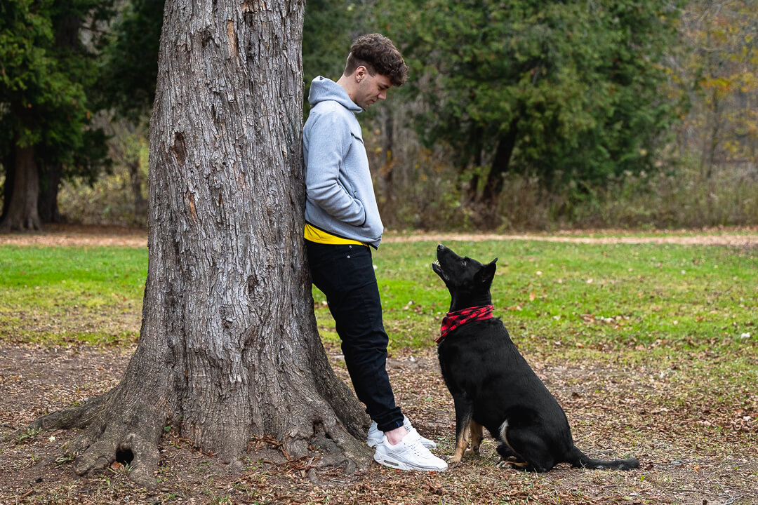 dogphotos Burlington pet photographer.