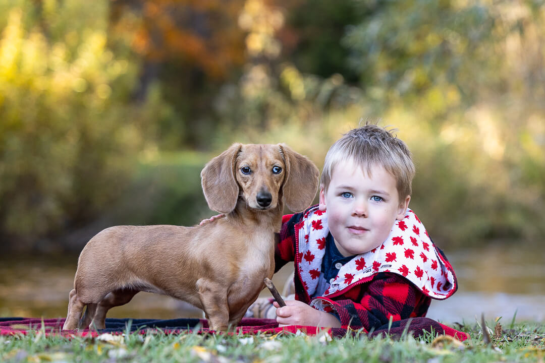 family and pet photography dog and family photoshoot in Lowville Park
