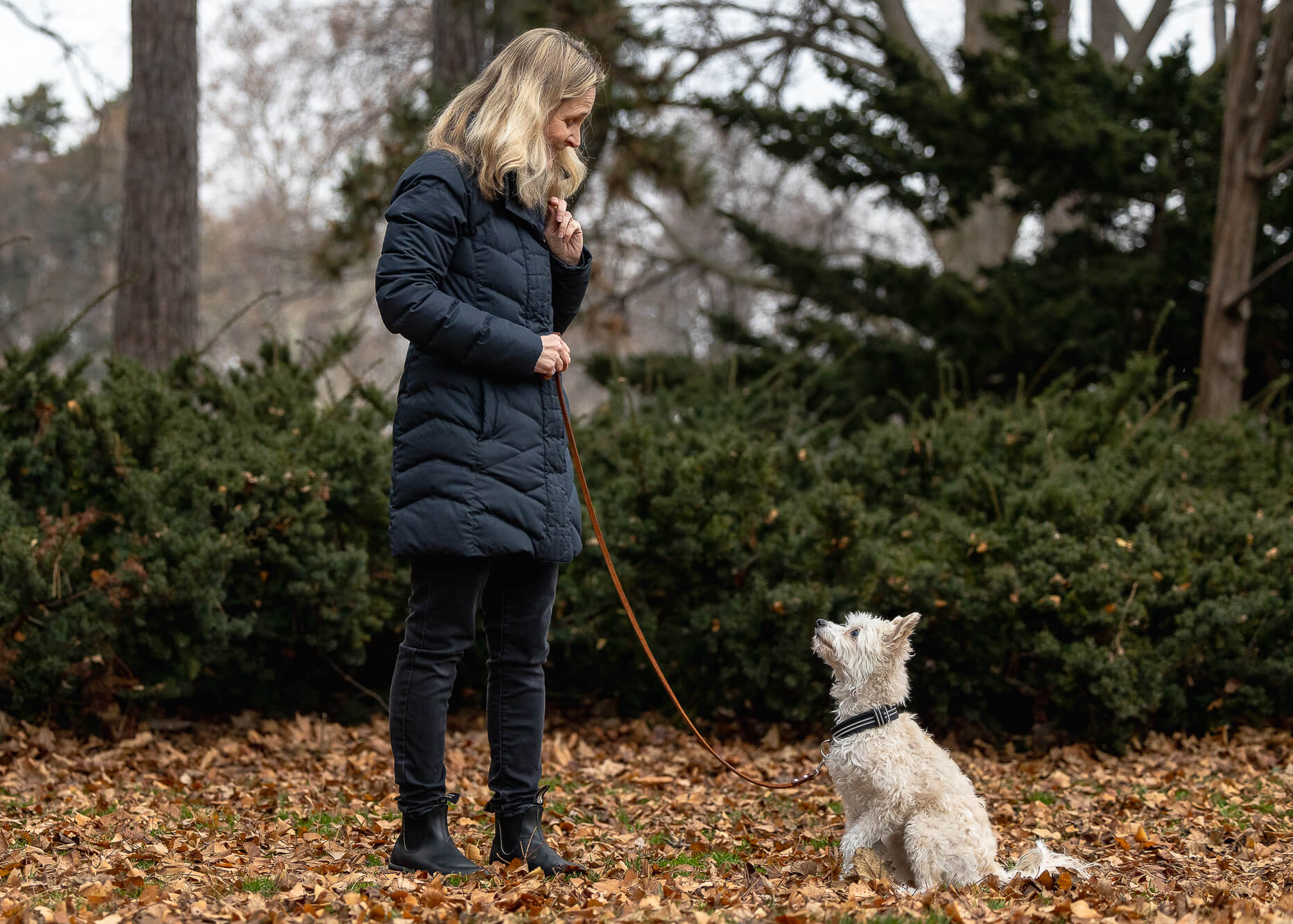 dog trainer dog photography in Hamilton, Ontario at Gage Park.