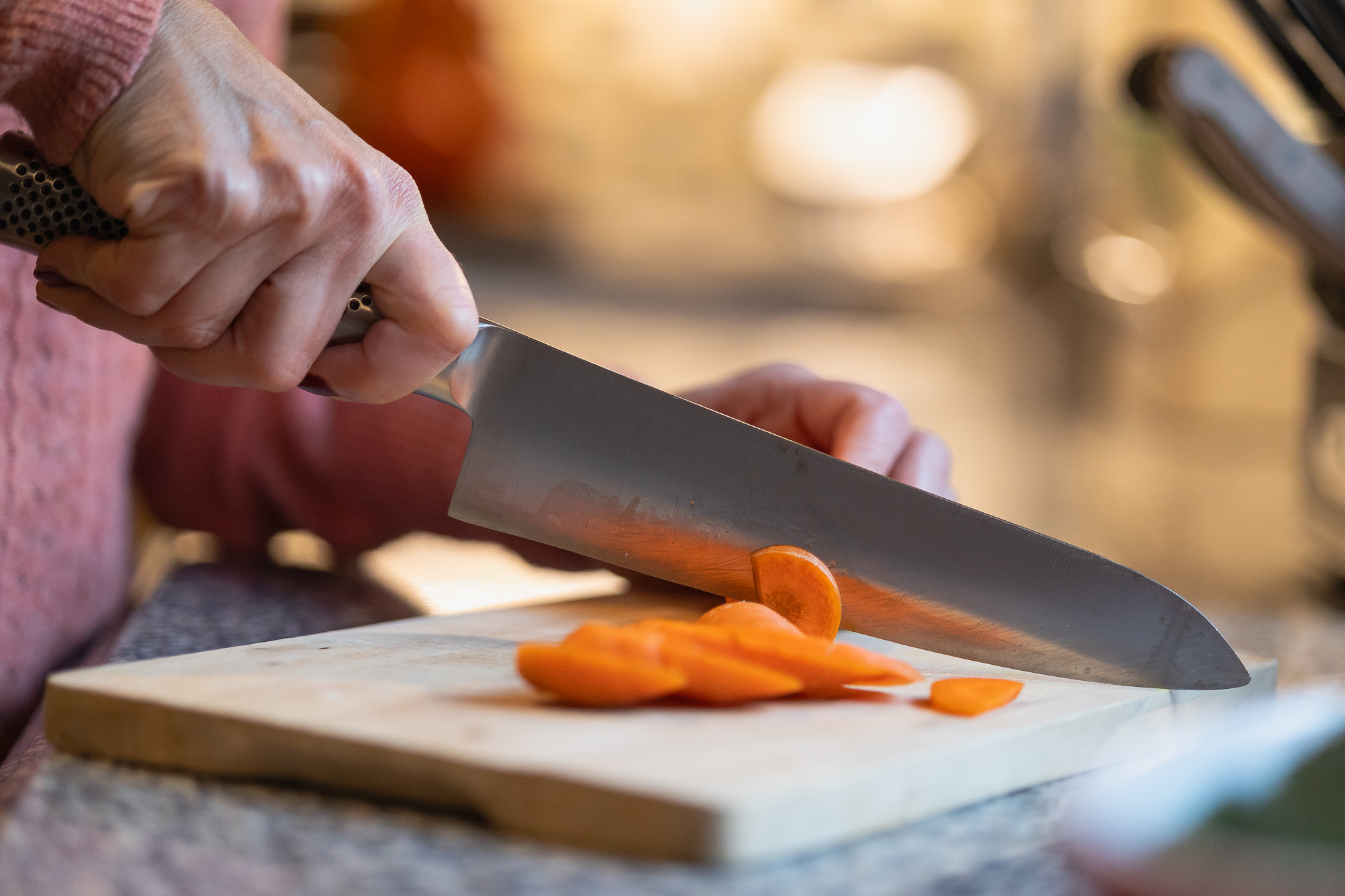 dog's health commercial pet photography