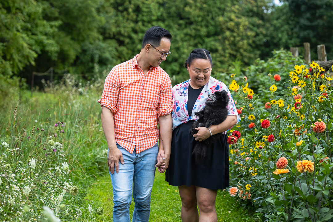 dog photo image family and pet photography in Hamilton, Ontario.