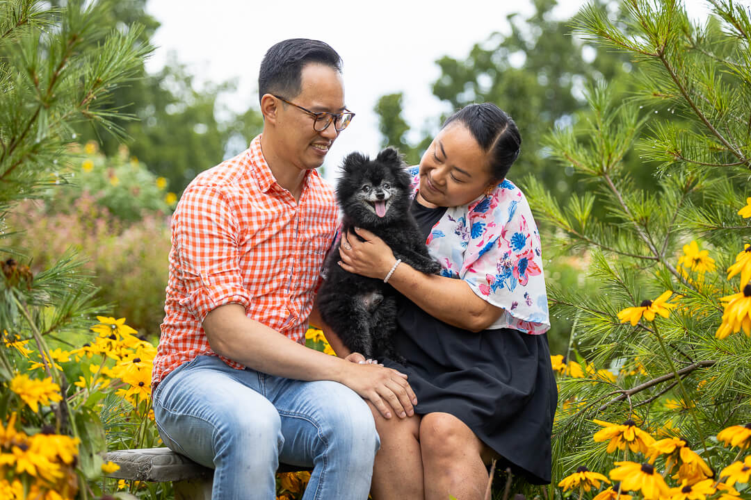 end of life pet photography end of life photography in Hamilton, ON