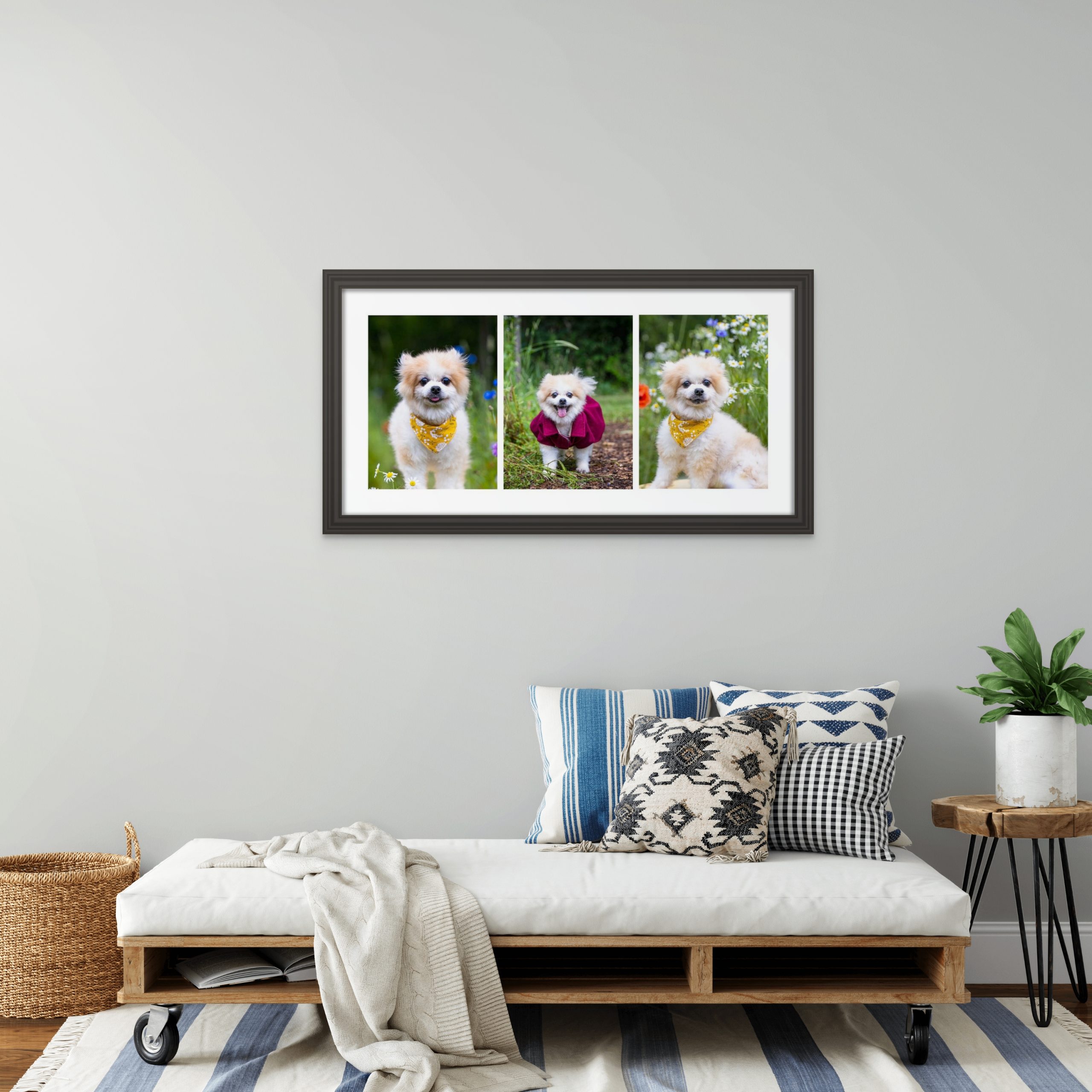 storyboardartwork a pet portrait artwork
