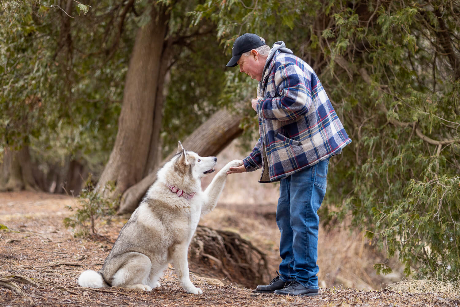 dad posing with his dog capturing the connection of a dog and her human in Burlington, Ontario
