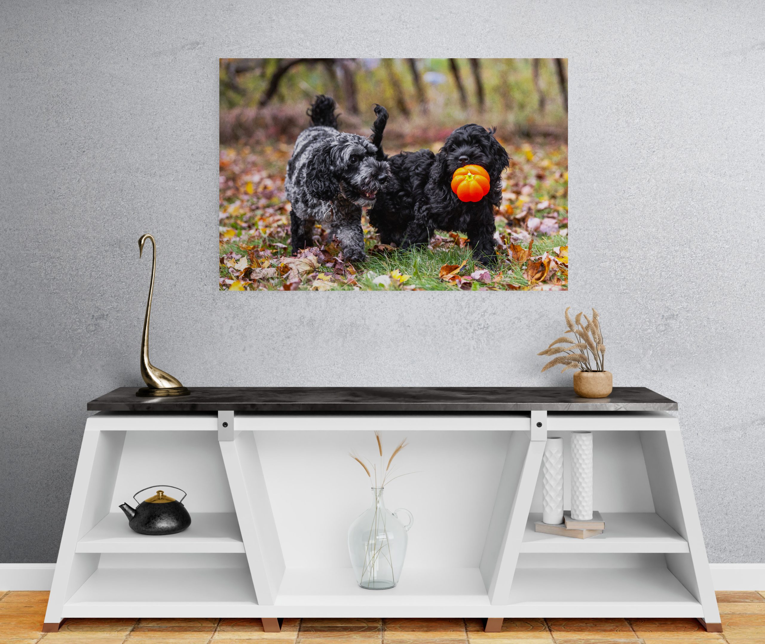 floatmount artwork by Canovas Photography floatmount artwork of two cockapoo puppies playing during a photoshoot
