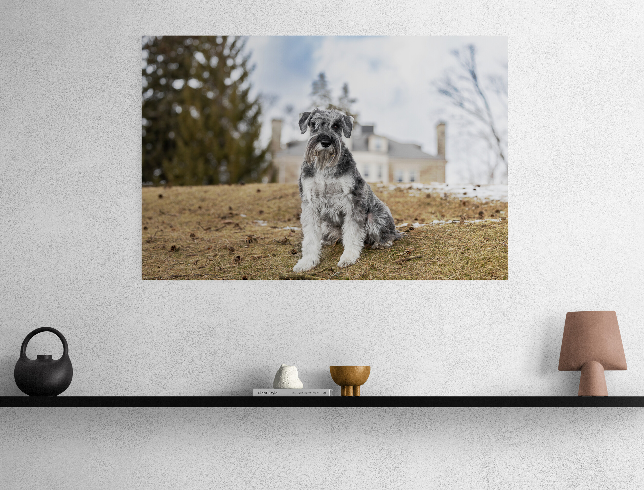 beautiful floatmount artwork to display your dog photography