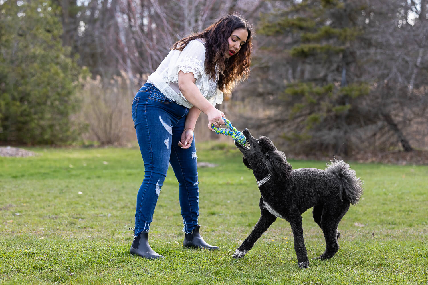 family dog photography in Mississauga, Ontario dog and family photoshoot in Mississauga at Jack Darling Memorial Park.