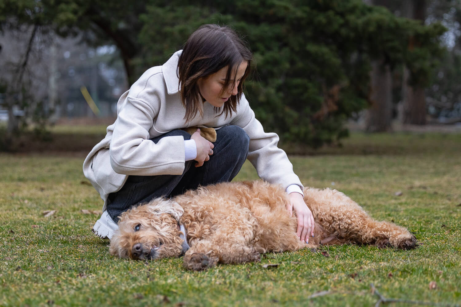 pet and family photoshoot at Gage park dog and family photoshoot at Gage Park in Hamilton, Ontario.