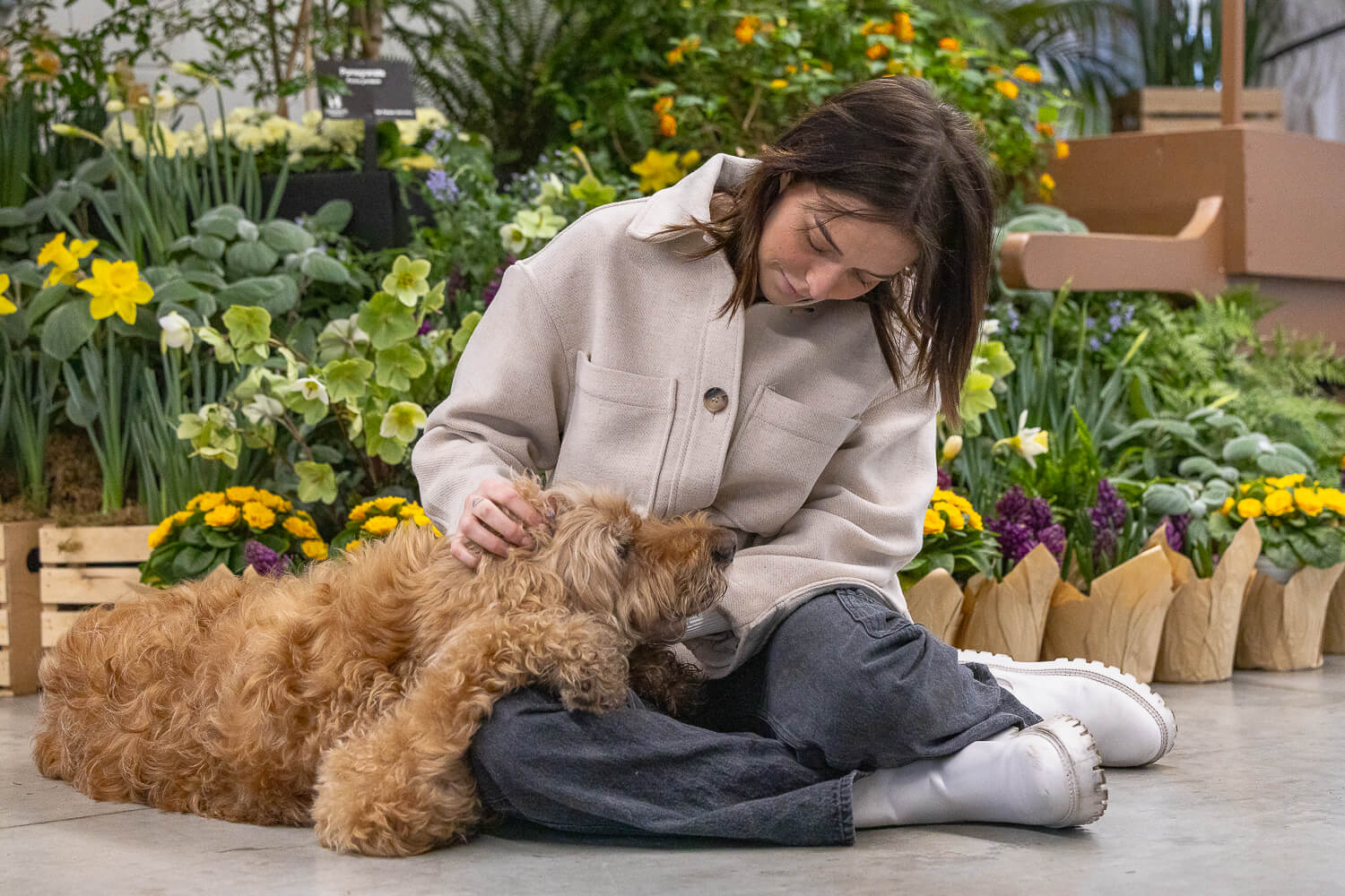 senior dog photoshoot at Gage Park dog and owner at a end of life pet photography session