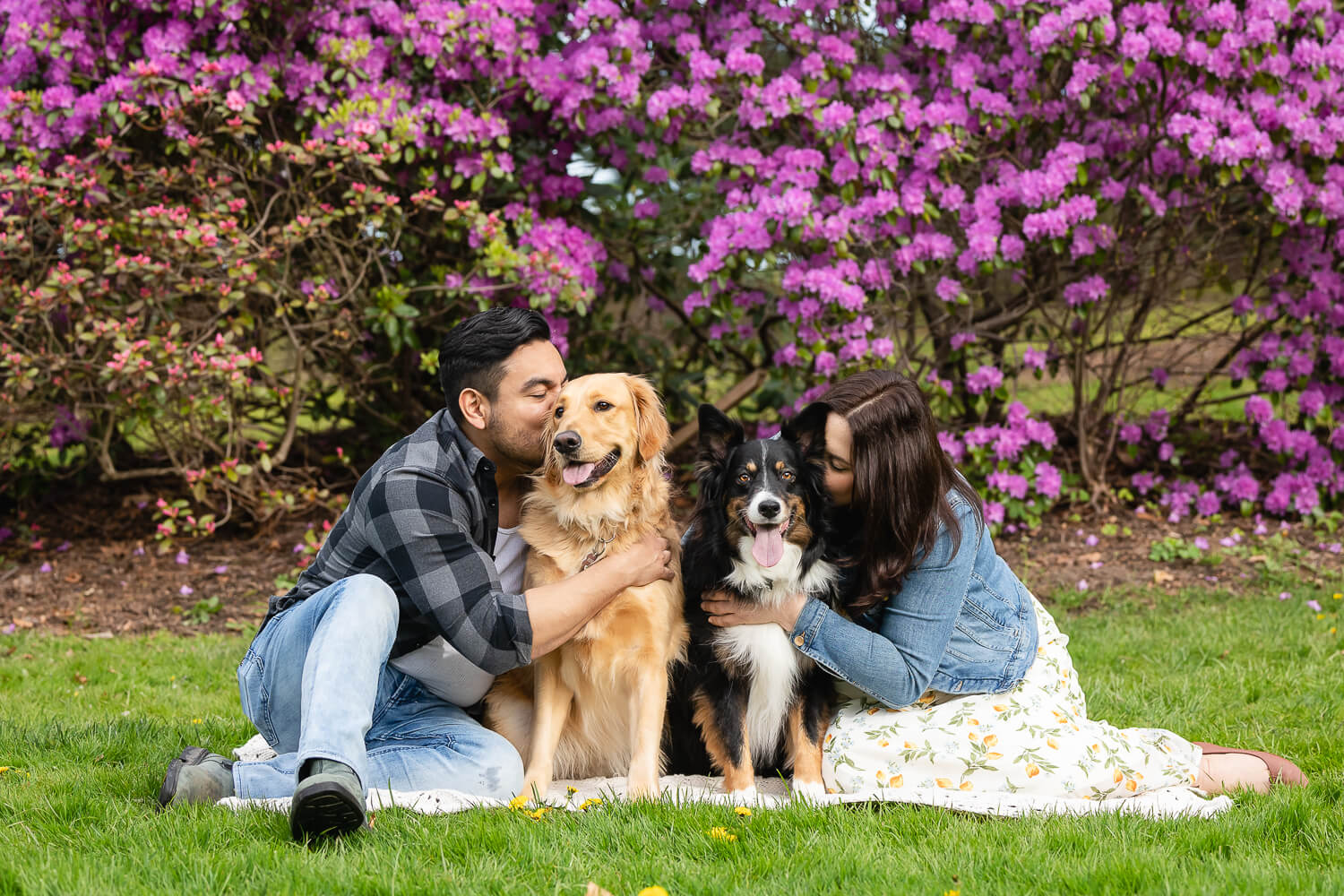family and pet photoshoot in Mississauga humans kissing their dogs during a family and pet photoshoot in Mississauga.