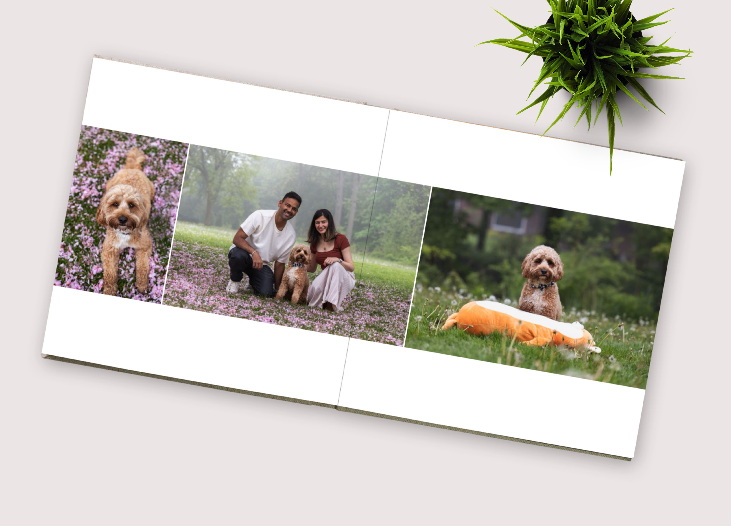 pet and family photo album family and pet photo album