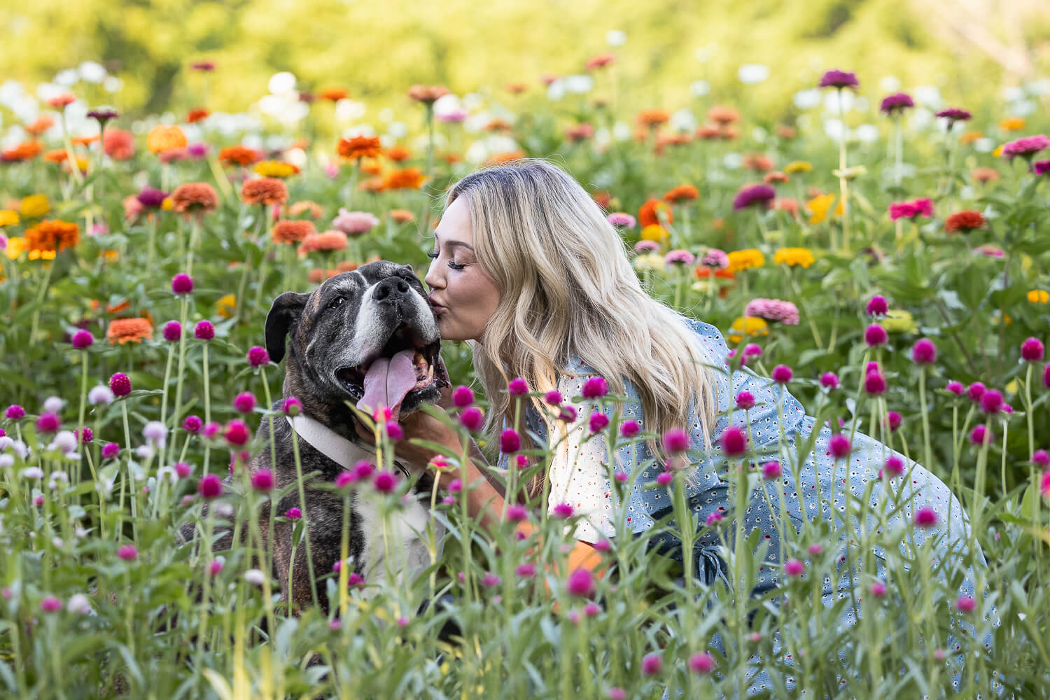 dog photography at Dundas, ON Pet owner kissing her dog at a rainbow bridge session in Dundas, ON.