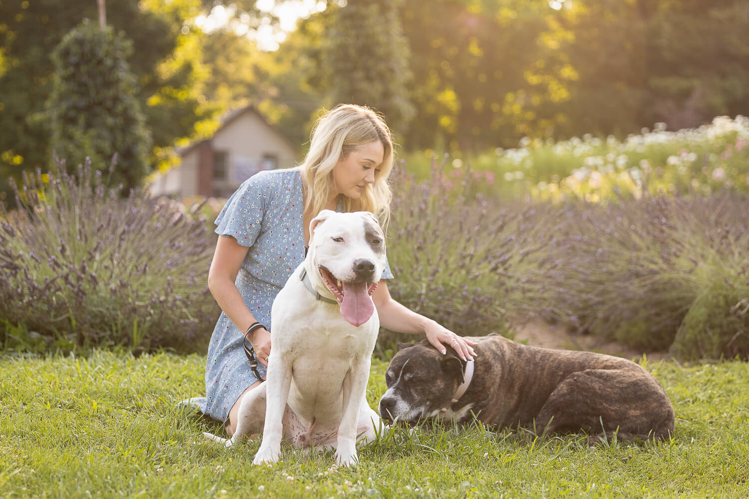 family and pet portrait in Dundas, ON