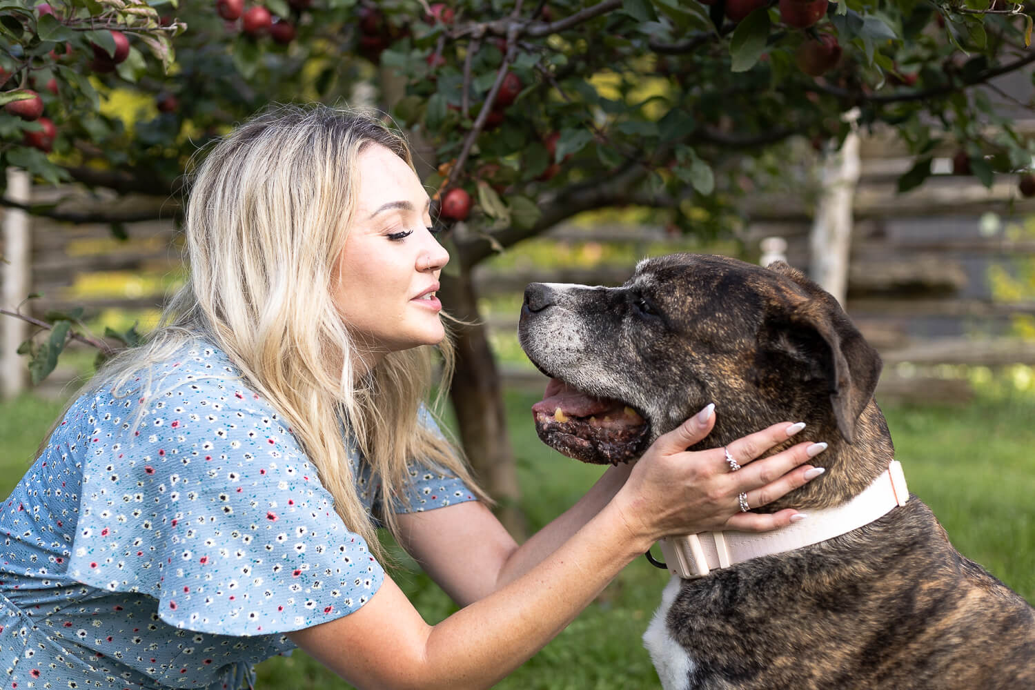 family photos with pets end of life pet photography session at all who wander flower farm.