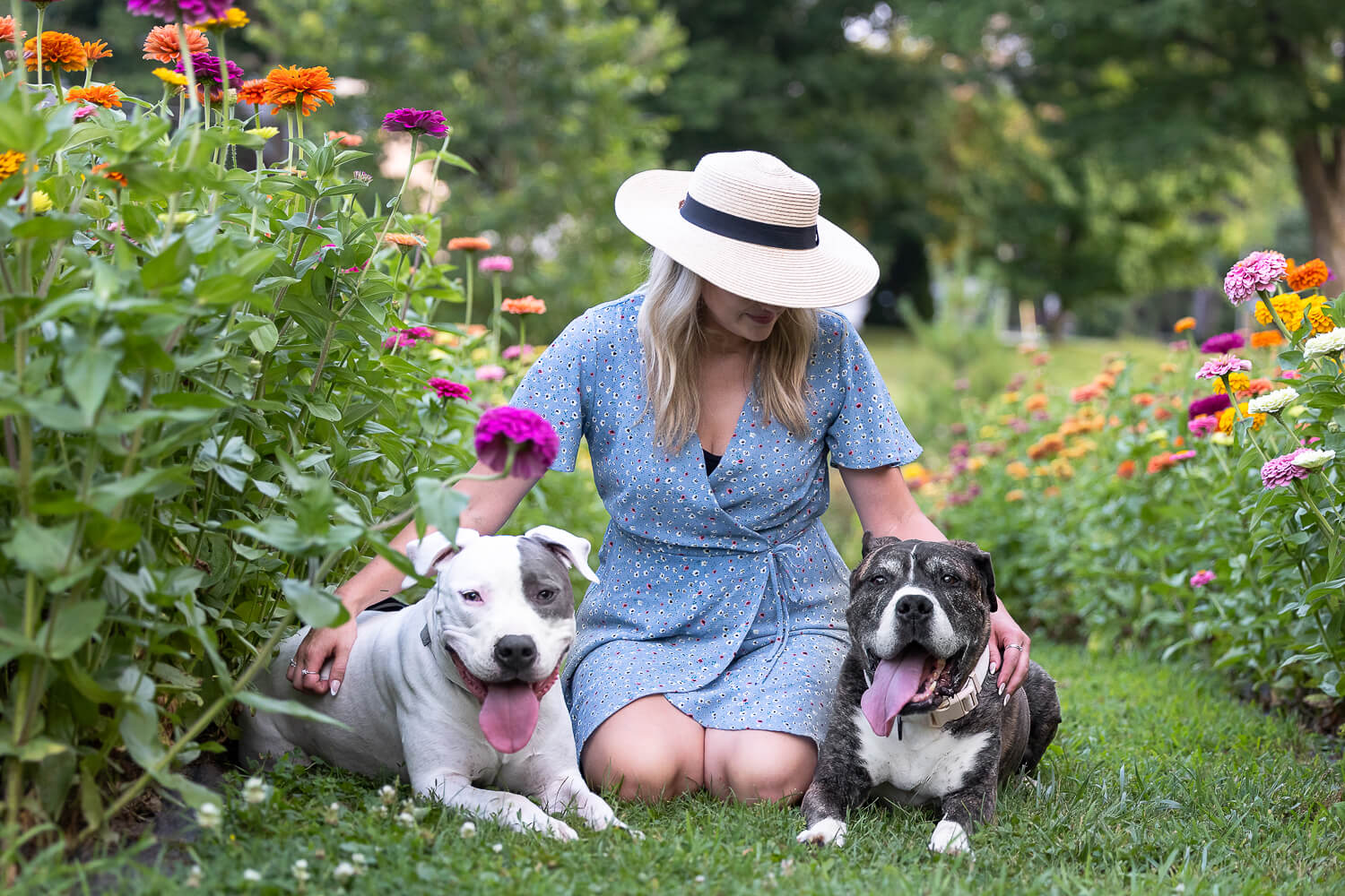 pet family photos at all who wander flower farm a family and pet portrait at All Who Wander Flower Farm in Dundas.