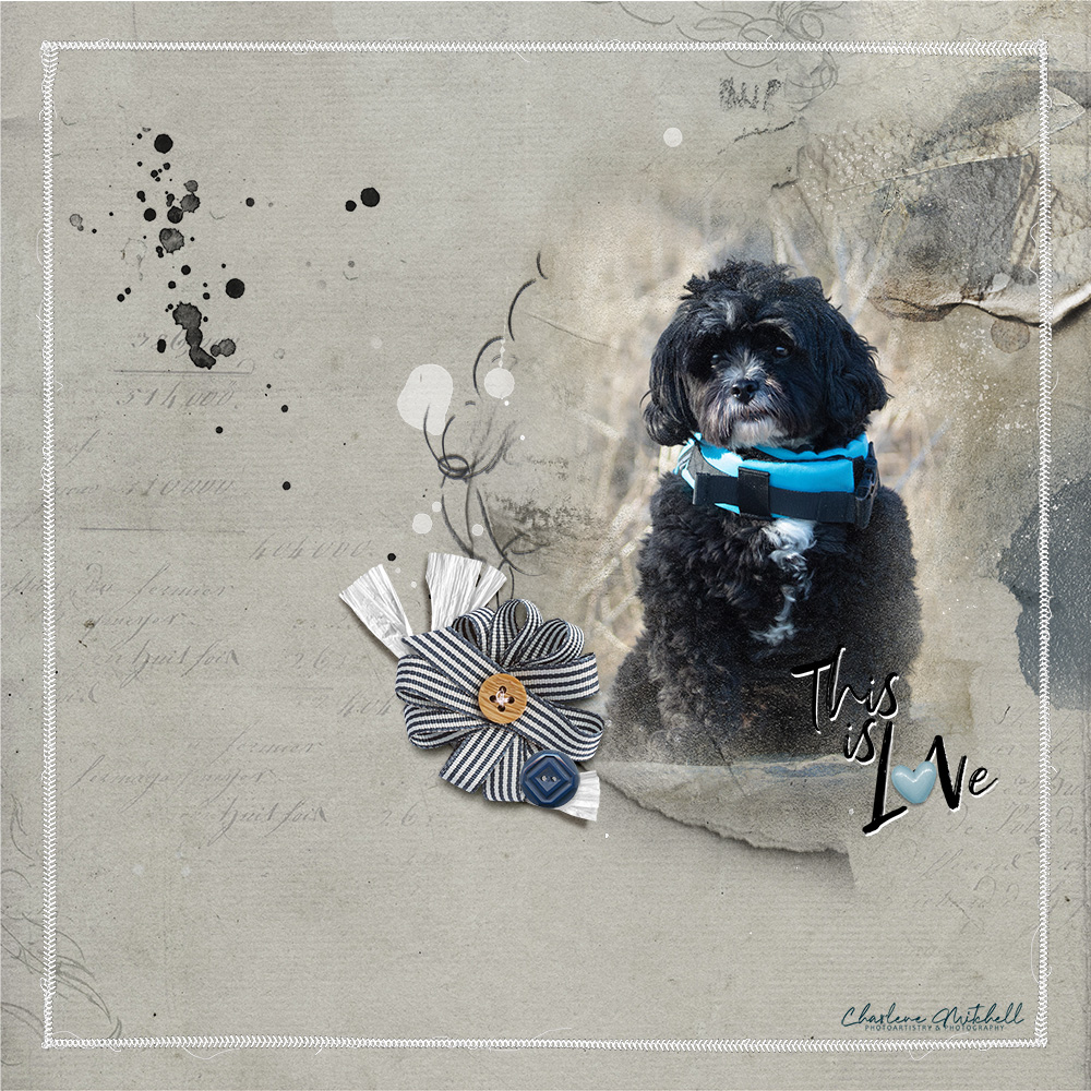 anna-aspnes-digital-scrapbook-artplay-collection-impressario-Charlene-oscar pet memorial artwork