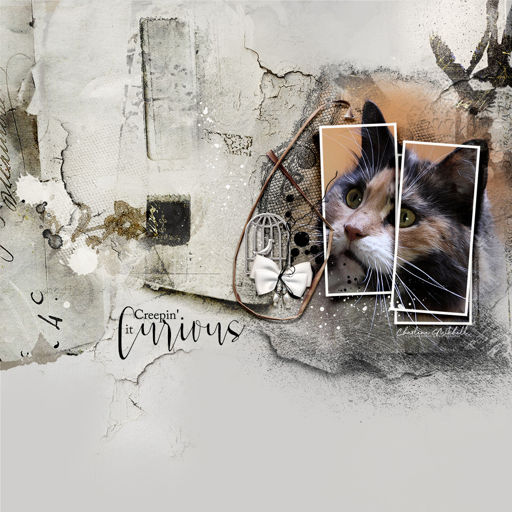 anna-aspnes-digital-scrapbook-artplay-collection-uncanny-charlene-creepinitcurious Pet memorial artwork.