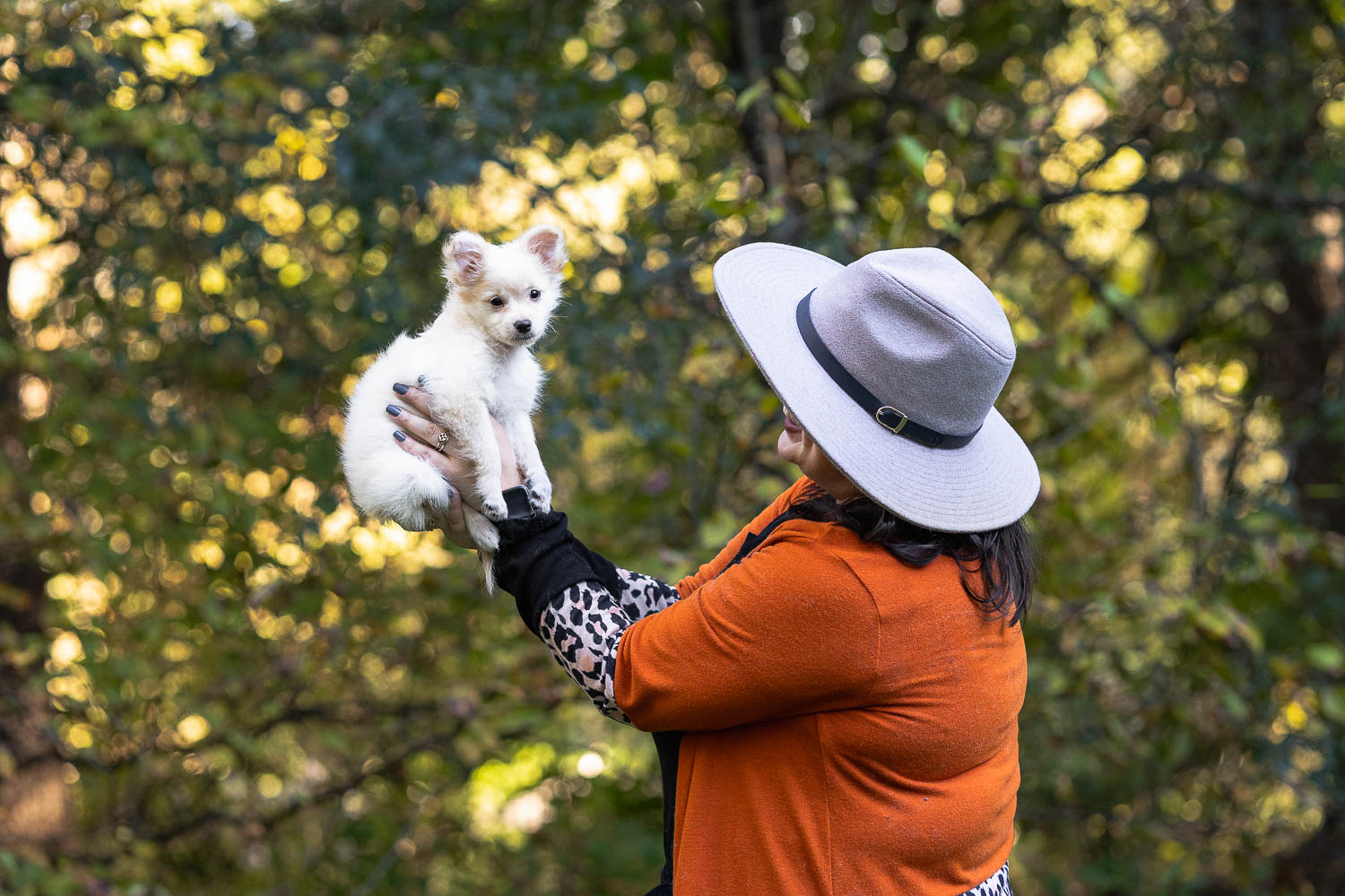 family portraits with dogs