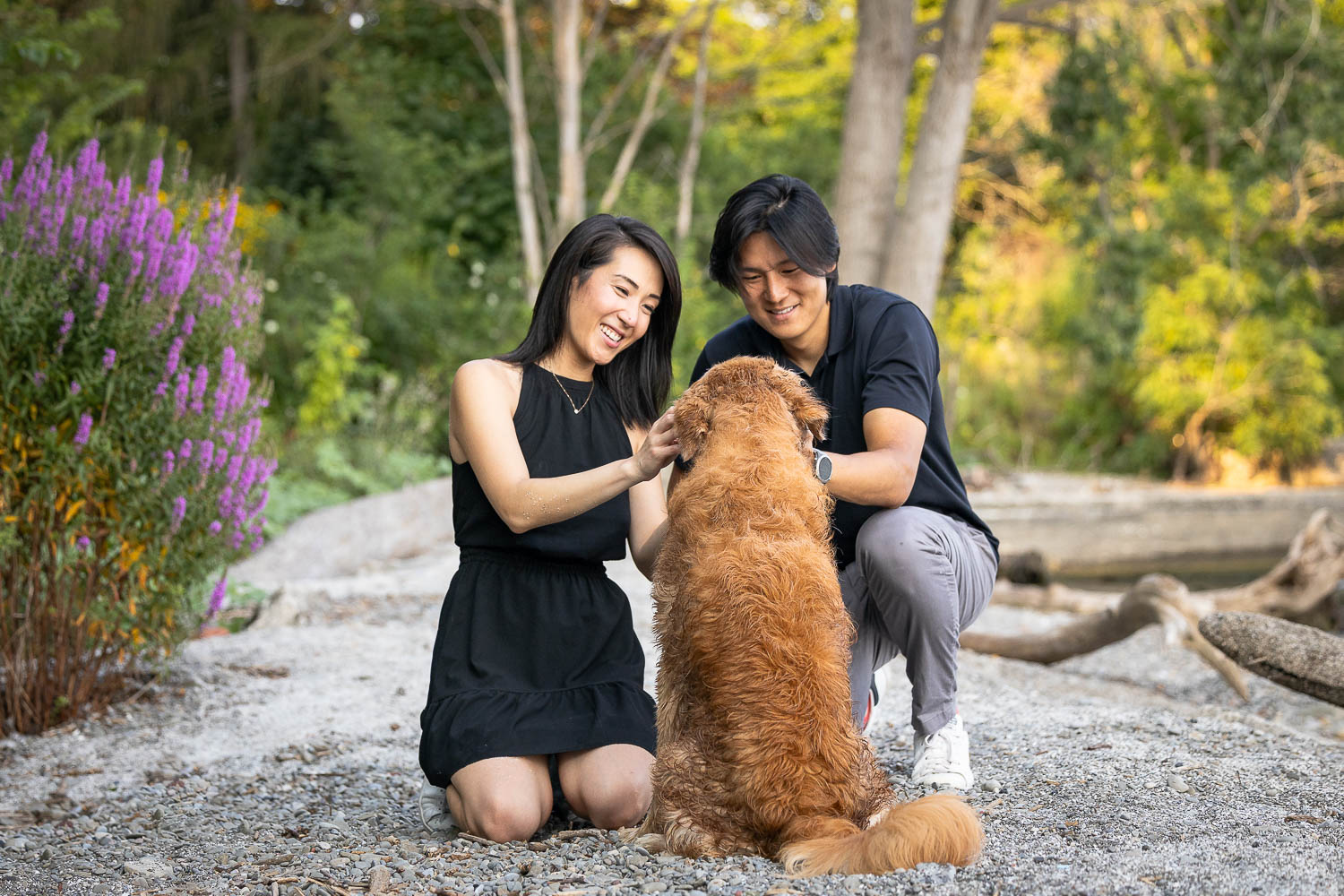 pet family portraits pet and family portraits taken at the beach in Mississauga.