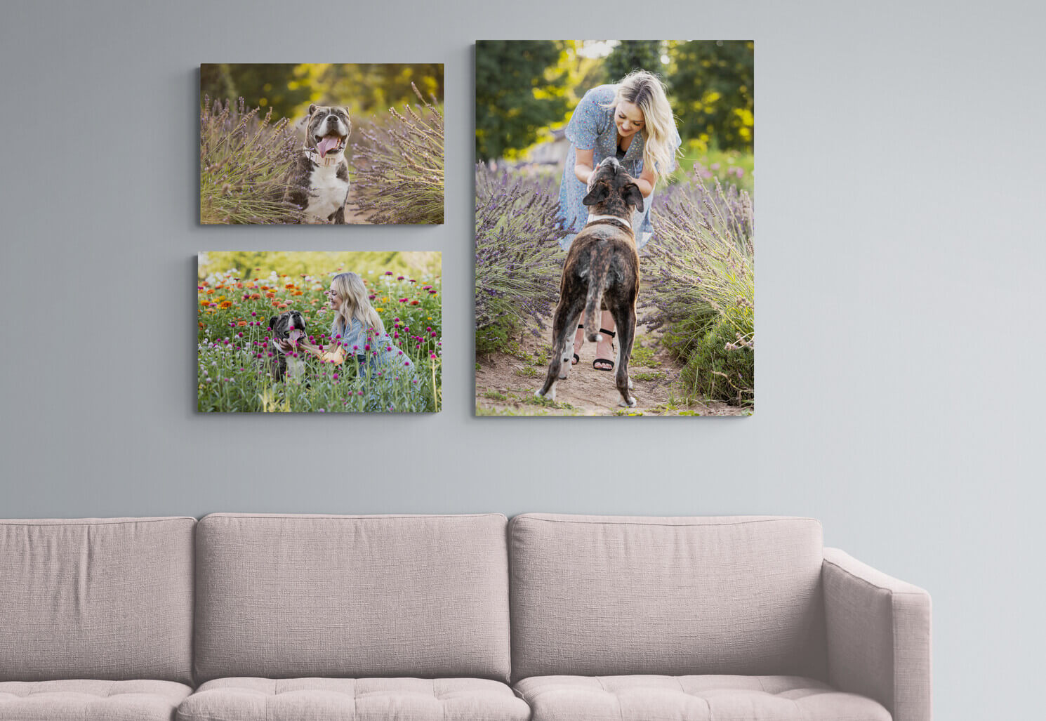 wall gallery of family and pets in the living room