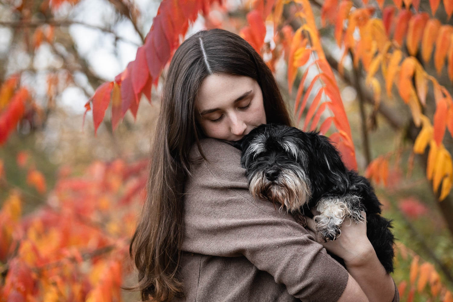 ancaster dog photographer rainbow bridge session in hamilton ontario.