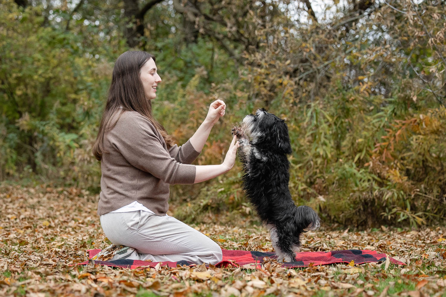 ancaster end of life pet photographer rainbow session at James smith park in hamilton