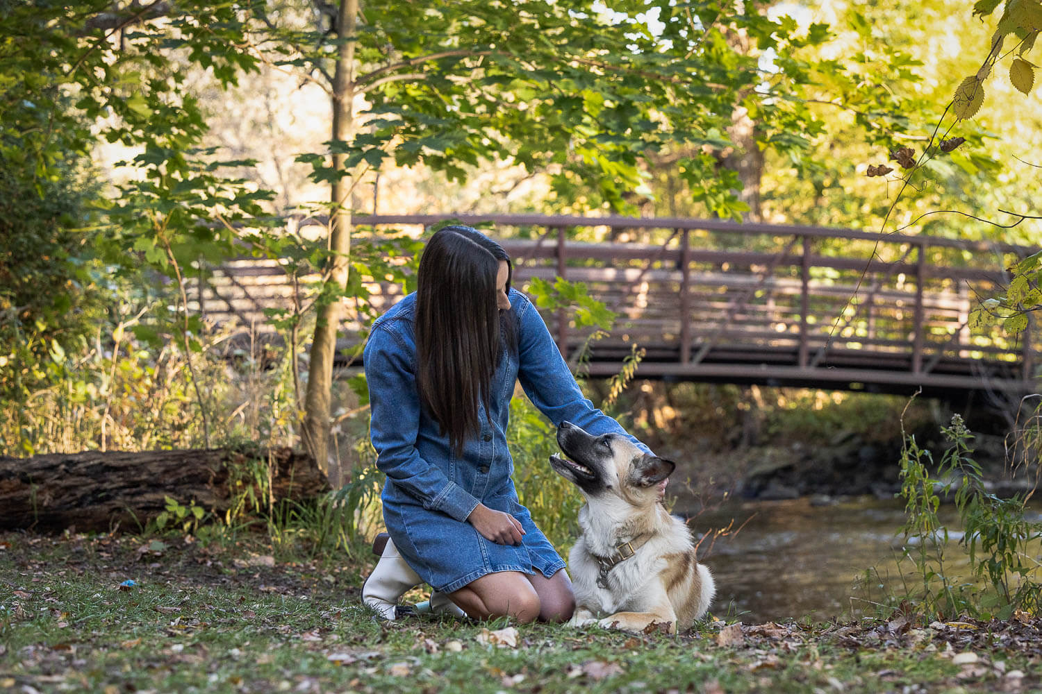burlington family and pet photographer burlington family photoshoot with dog.