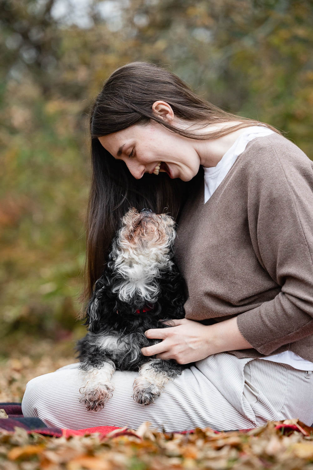 family dog photos family pet fall photo shoot session.