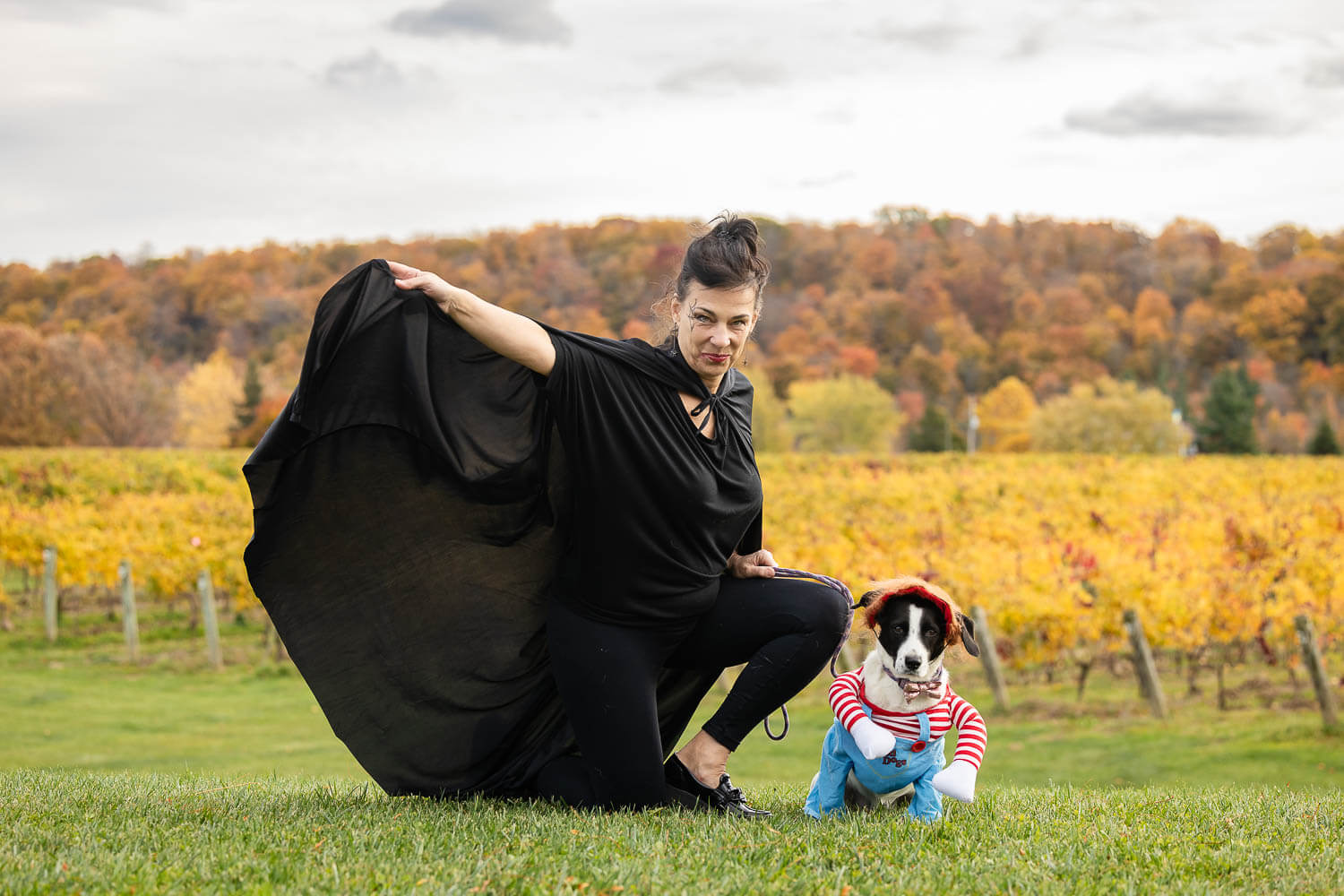 halloween event at cave spring winery pet halloween event at cave spring winery