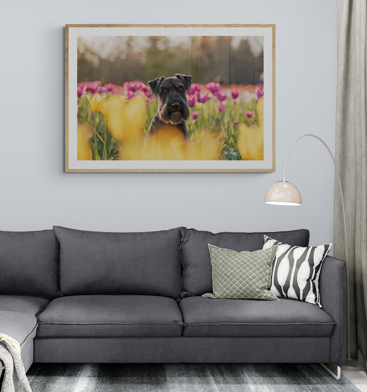 living-room-with-corner-sofa-and-lamp