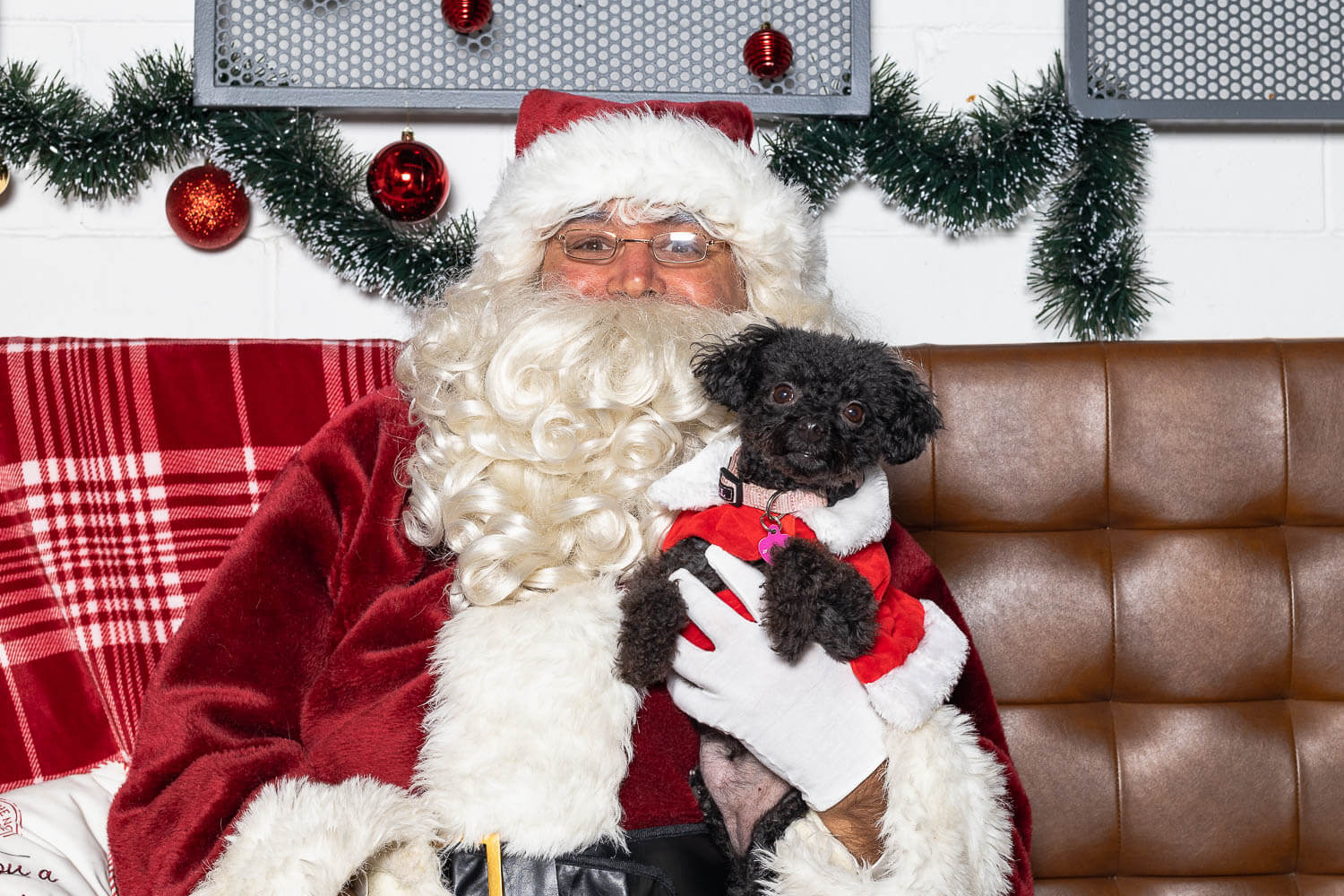 Hamilton dog photographer_ pet photos with Santa