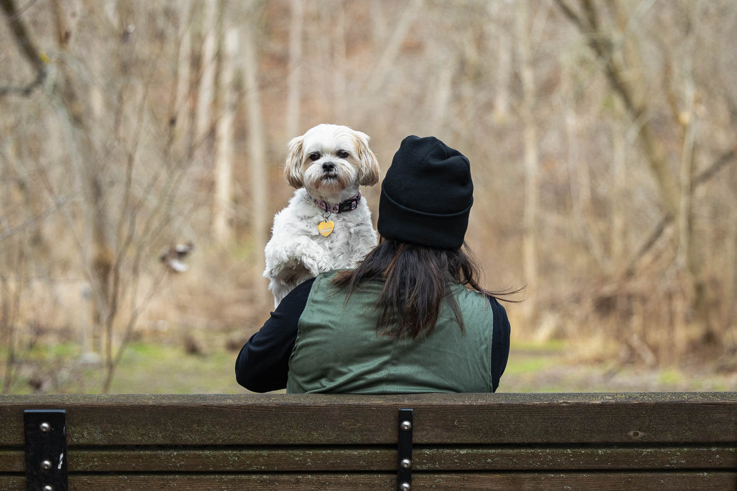 burlington pet and family photographer pet and family photo at Lowville Park.