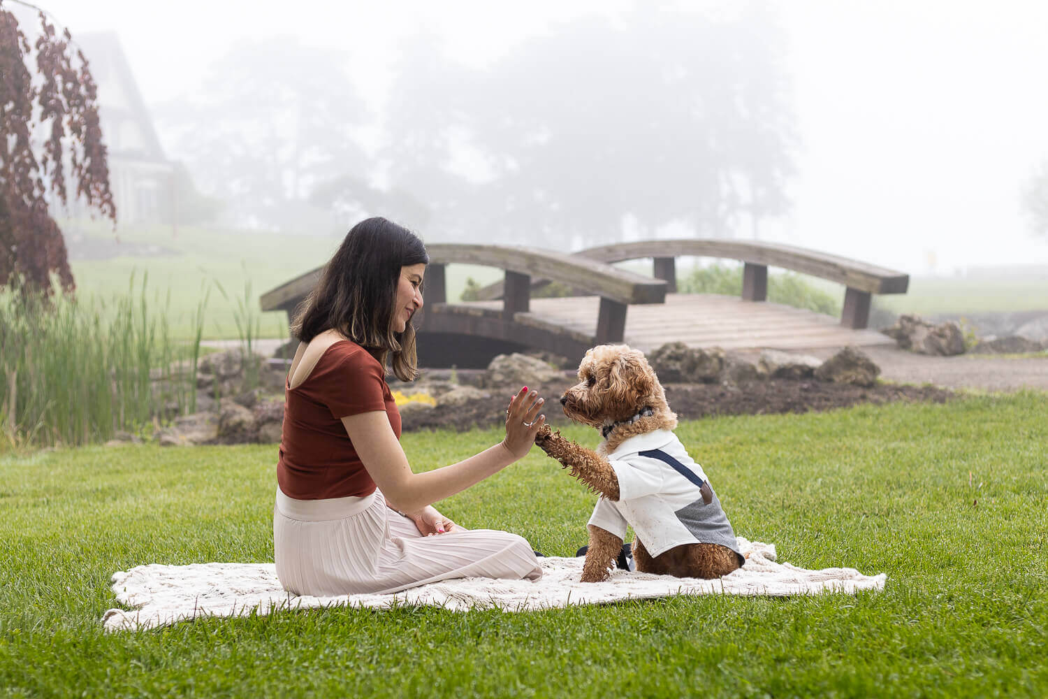 dog mom high five a cockapoo family and dog photoshoot at Gairloch gardens.