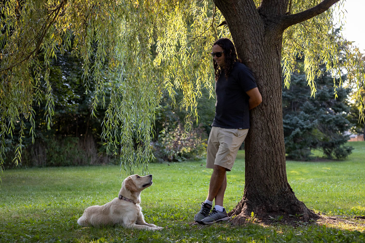 family dog photos family dog photoshoot in Mississauga.
