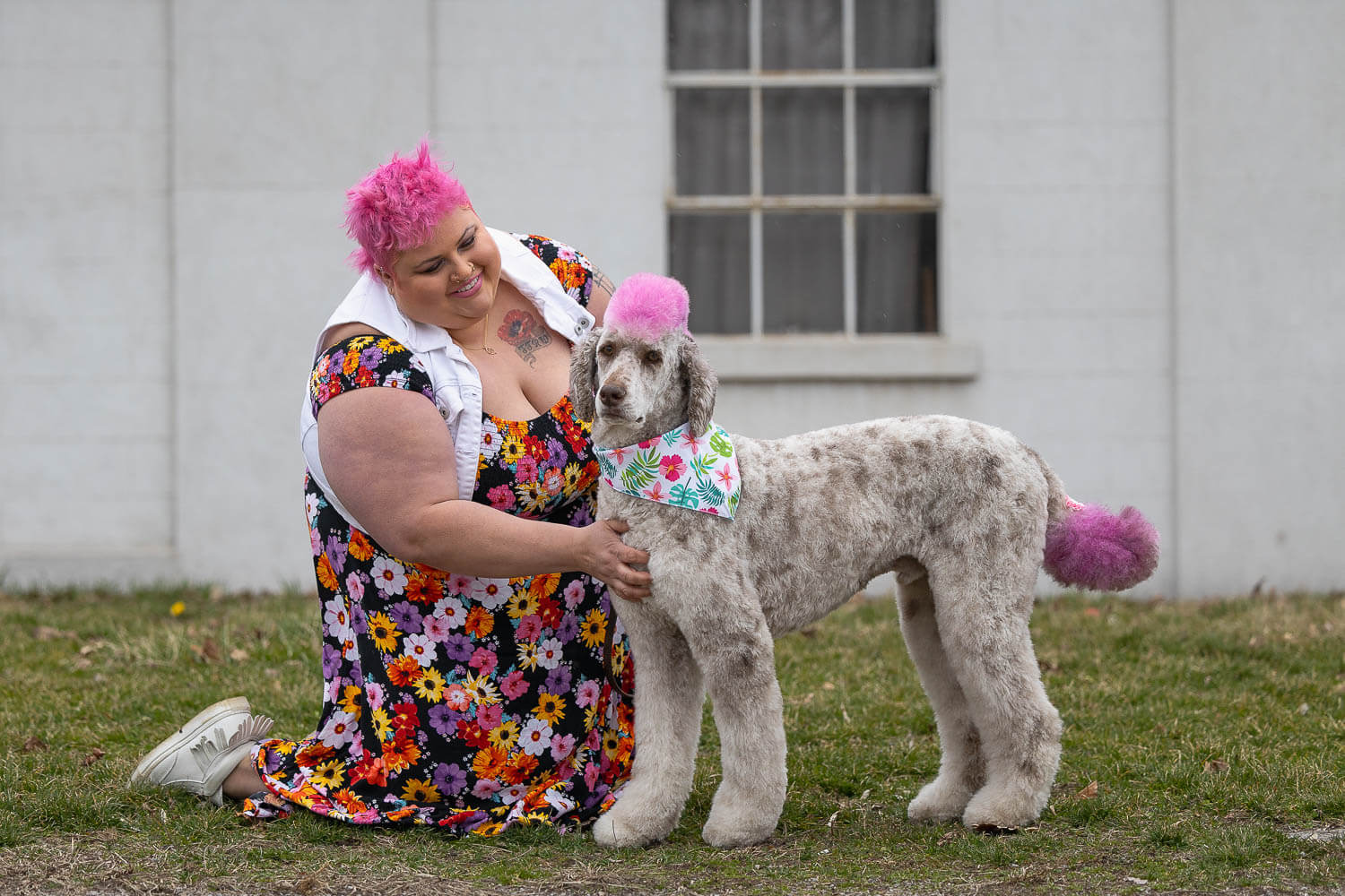 family pet pictures family pet pictures taken at Dundrum Castle.