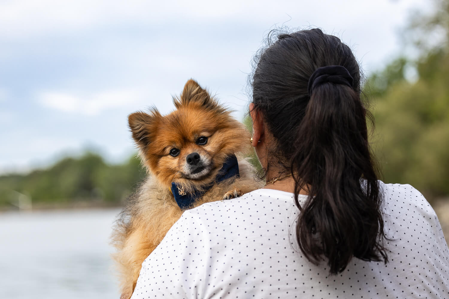 owner and pet photoshoot dog photoshoot with owner in Mississauga.